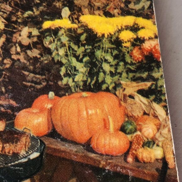 Vintage 1963 Barbecue Cookbook Big Boy Illustrated Recipes Spit Fire Grill Steak - Picture 16 of 16